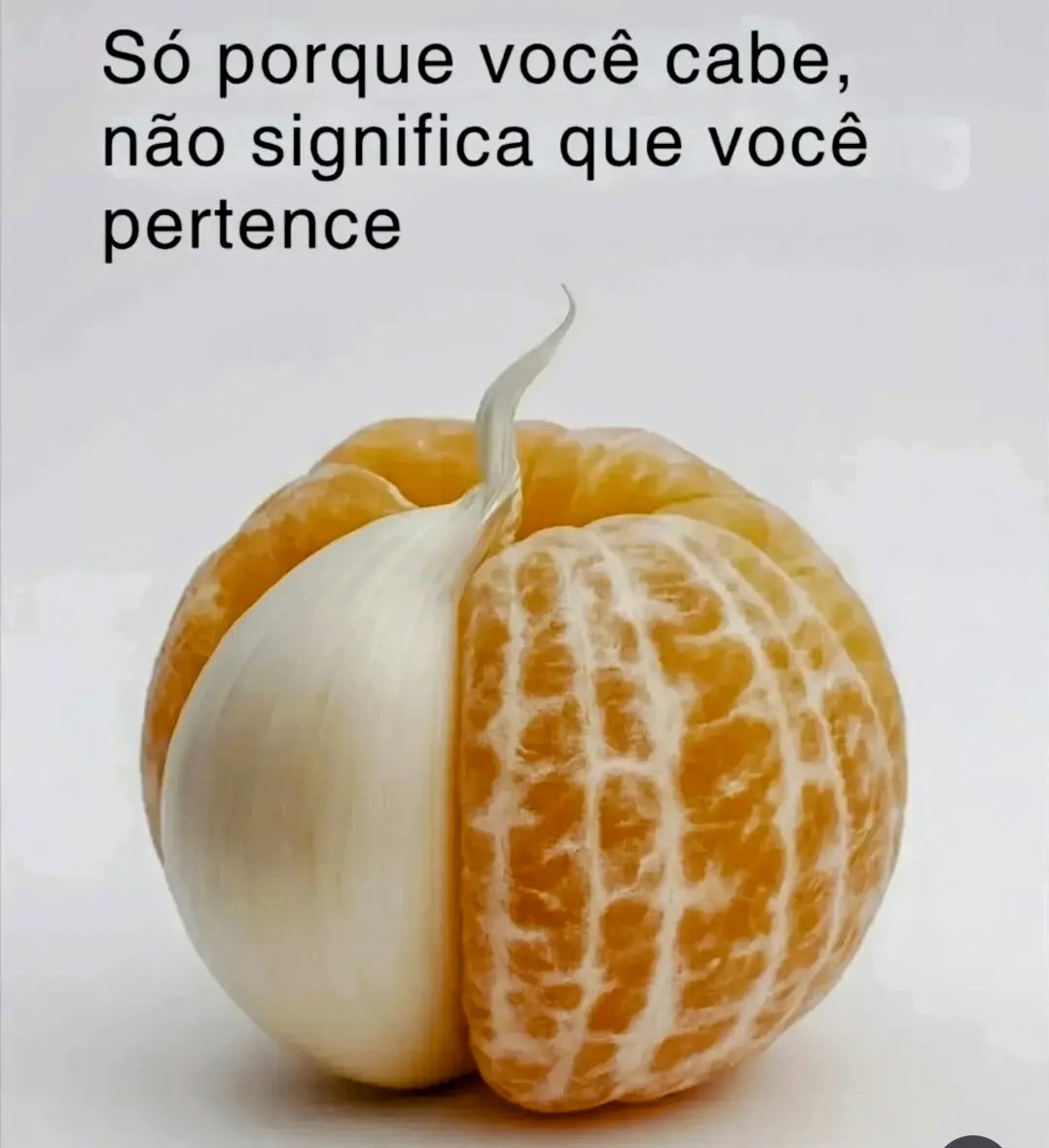 Sobre Jhony Bezerra e o grupo Cunha Lima