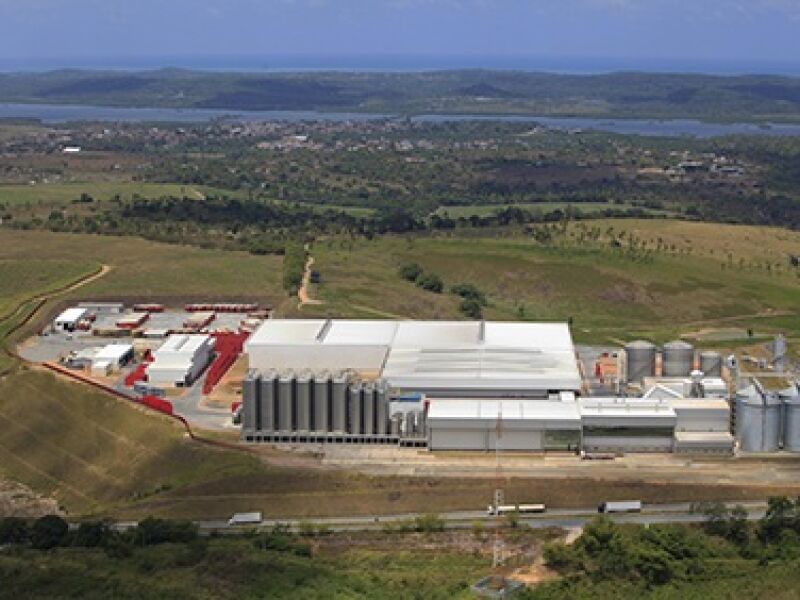 Grupo Petrópolis aposta no sabor regional e lança Ice de caju para conquistar público jovem